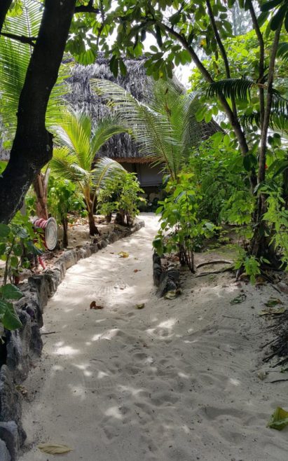 Beachcomber Island Resort - Fiji